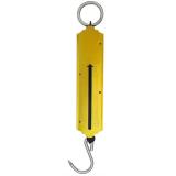 Balança Peixeira 50kg - Western